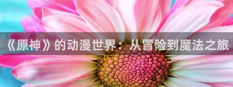 樱花动漫immonene6官网